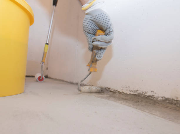 Best Bed Bug Extermination  in Canutillo, TX